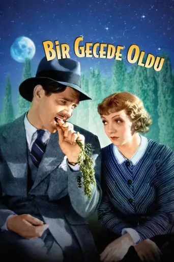 Bir Gecede Oldu Film izle